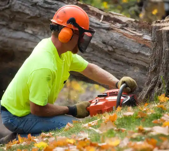 tree services Spalding